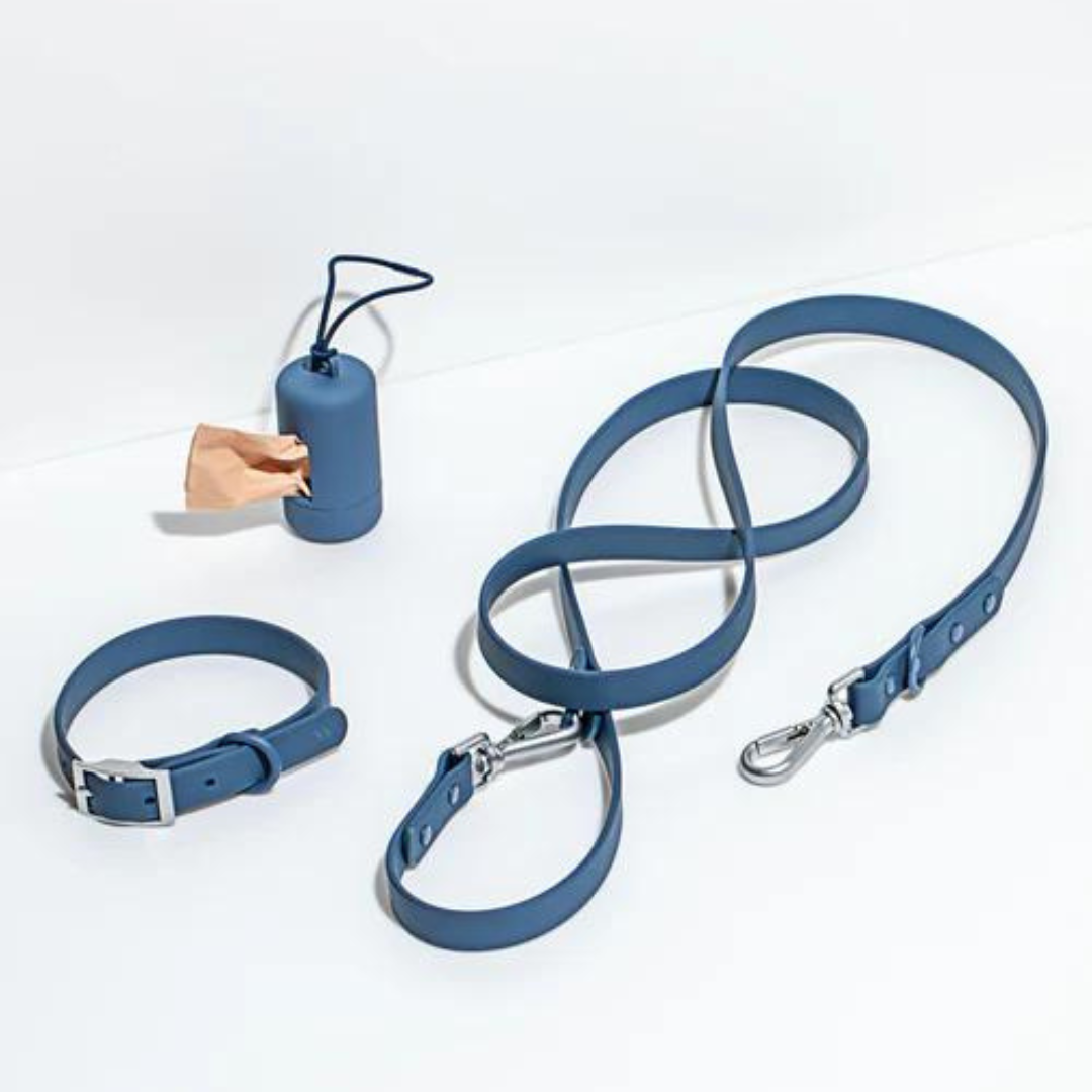 Set de plimbare caini Flexy