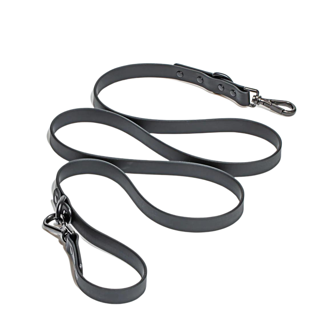 Lesă Flexy reglabilă hands-free