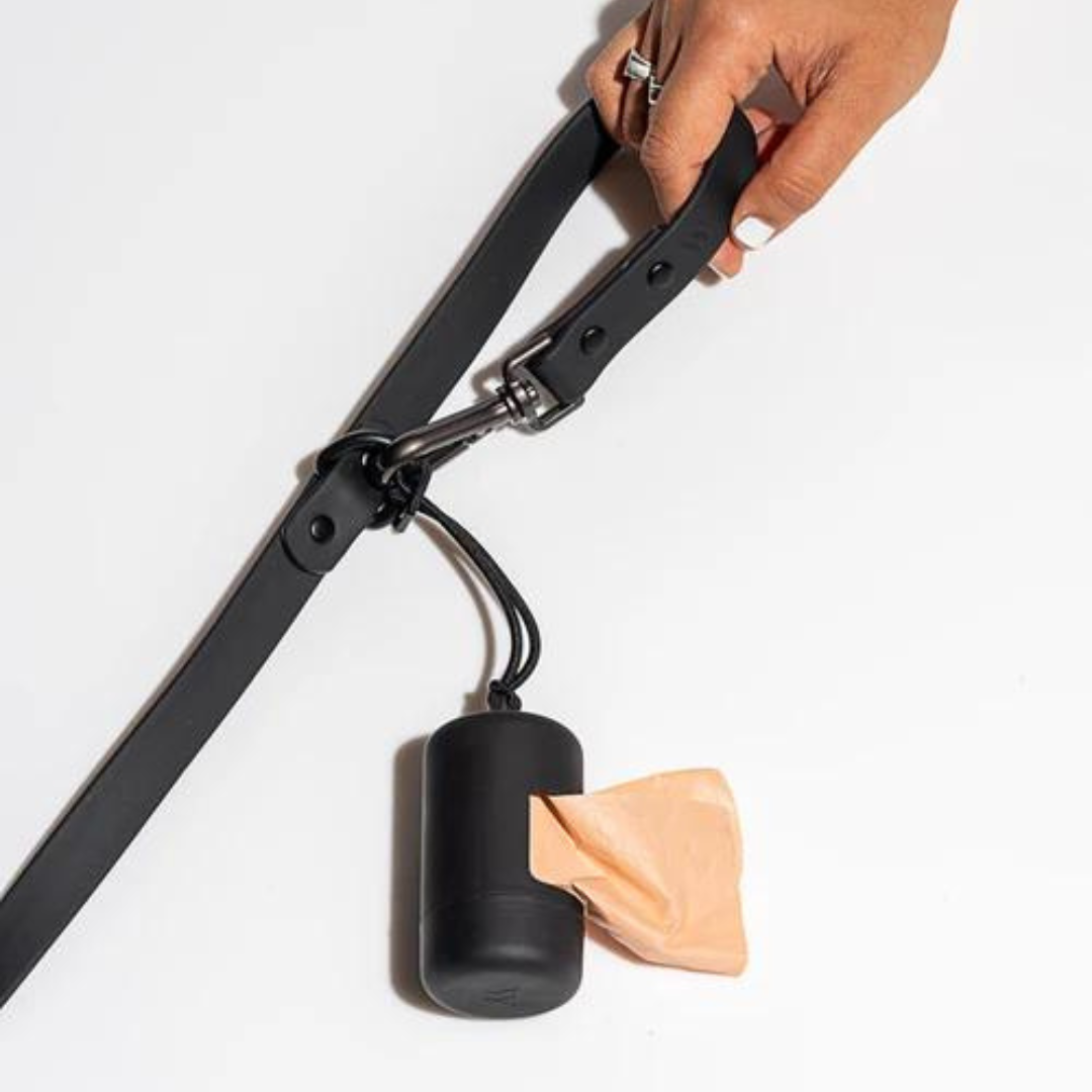 Set de plimbare caini Flexy