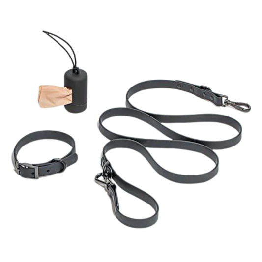 Set de plimbare caini Flexy