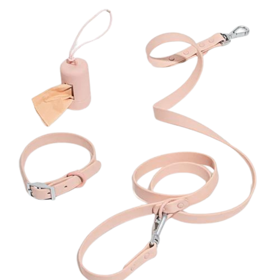 Set de plimbare caini Flexy