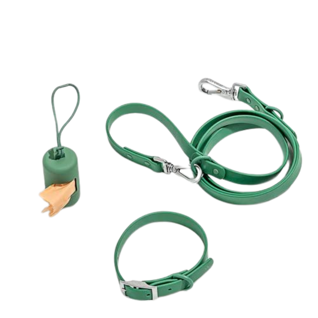 Set de plimbare caini Flexy