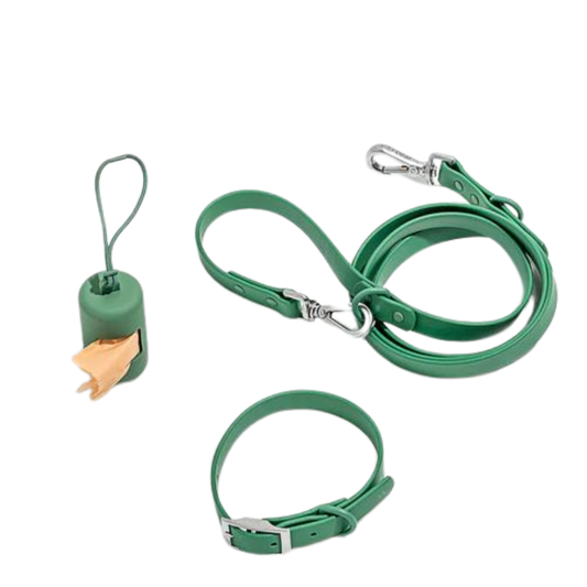 Set de plimbare caini Flexy