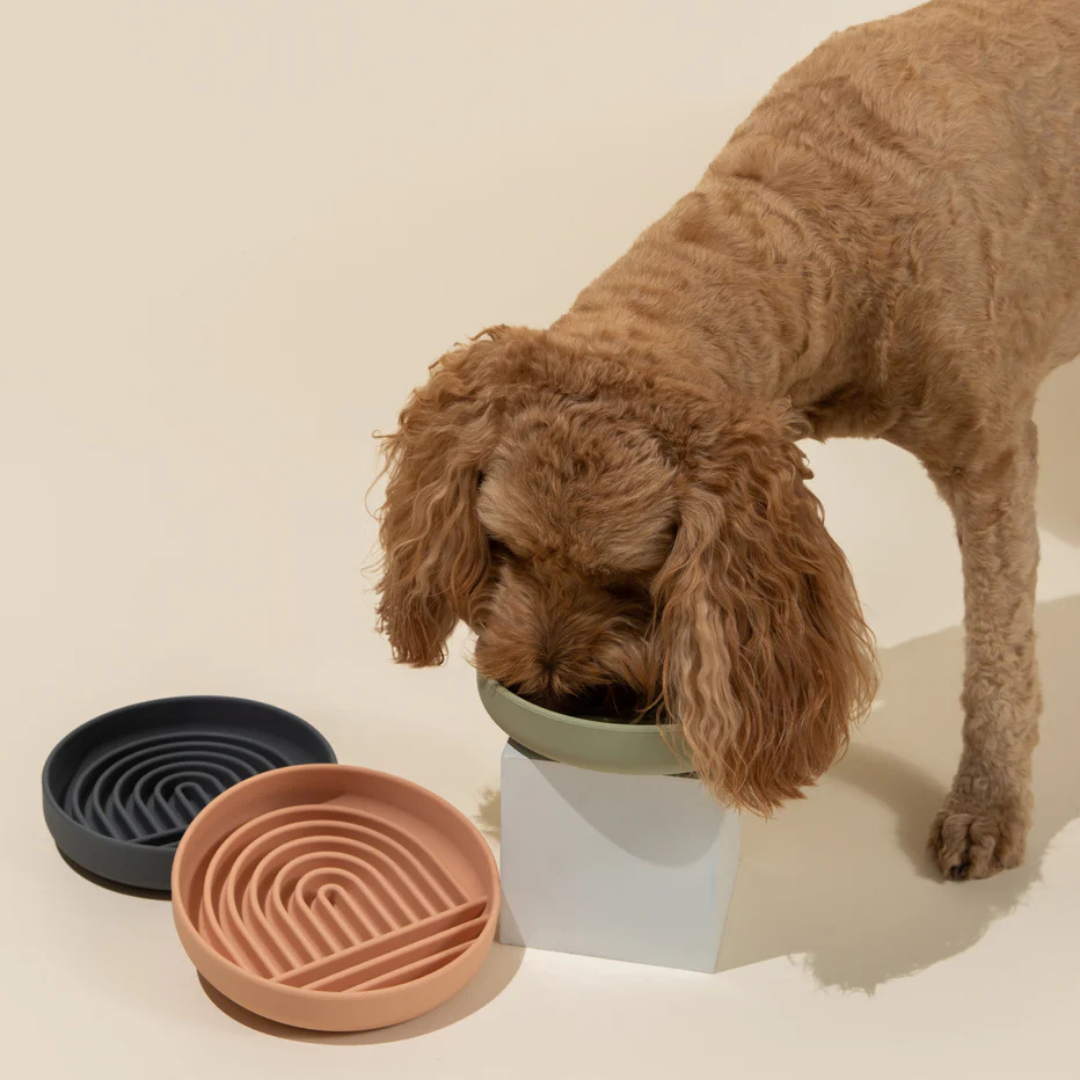 Slow feeder Flexy