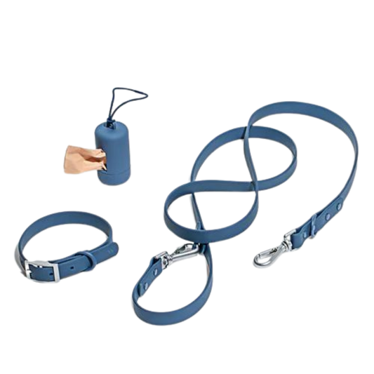 Set de plimbare caini Flexy